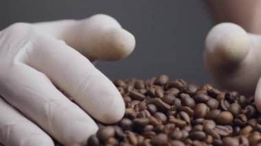 Yakından, kavrulmuş kahve çekirdeği alan eller. Bilinmeyen bir adam beyaz eldiven giyiyor ve elinde koyu kahve tohumları var. Aromatik fasulyeler yığının üzerinde parmaklarının arasına döküldü. Arabica arkaplanı.