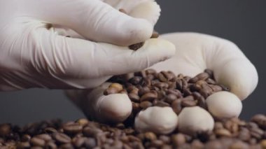 Eldivenli eller kaliteli kahve tanelerini kontrol ediyor. Aromatik kahverengi tohumlar bilinmeyen bir avuç içinde yatıyor. Tarımcı öğütülmeden önce taze kızarmış fasulye tutuyor. Enerji içeceği içeriyor..