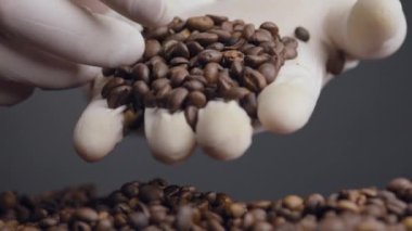 Aromatik kahve çekirdekleri yakın mesafede duruyor. Beyaz eldivenli parmaklar kavrulmuş kahve çekirdeklerini öğütüyor. Bilinmeyen kişi enerjik bir sabah içeceği için tam kahve çekirdeği tutuyor..