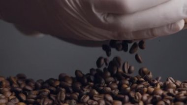 Ellerinden beyaz eldivenlere dökülen kavrulmuş kahve çekirdekleri. Kimliği belirsiz kişi avuçlarından taze kahverengi taneler alıyor. Kahve çekirdekleri kalitesini kontrol ediyorum. Sabah içeceği için mükemmel aromatik malzeme..