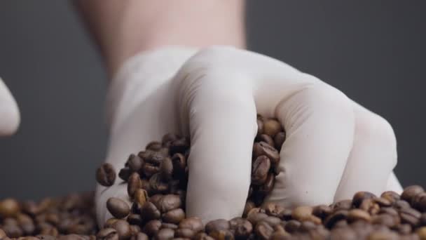 Mãos Usando Luvas Brancas Tomando Grãos Café Punhados Perto Pessoa — Vídeo de Stock