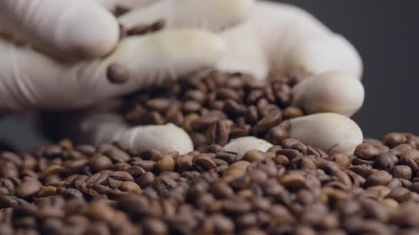 Vista Granos Café Tostados Perfectos Palma Usando Guantes Blancos Cerca — Vídeos de Stock