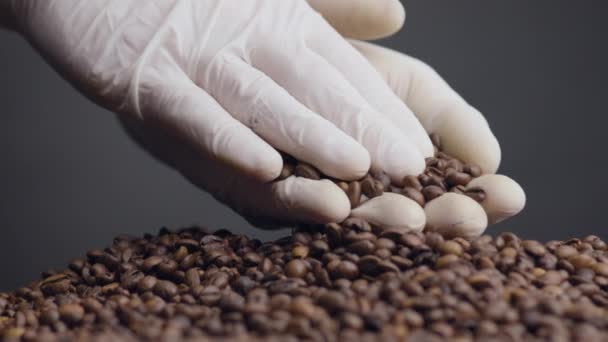手でローストコーヒー粒を閉じます 暗い背景に芳香族収穫品質をチェック未知の農業家 白い手袋の指は カフェインの朝の飲料のための茶色の新鮮な種子に触れる — ストック動画