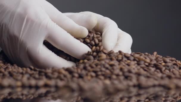 手を近くに白い手袋でおいしいローストコーヒー豆を取る 品質をチェック新鮮な茶色の種子に触れる未知の人の指 ヤシの上に横たわる芳香族穀物 エネルギードリンクの原料 — ストック動画