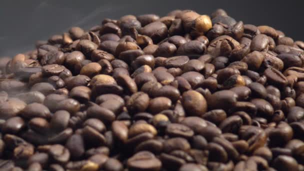 Macro Vista Semi Caffè Isolati Sfondo Scuro Chiudere Vapore Leggero — Video Stock