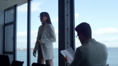 Şirketin CEO 'su panorama penceresinden rapor veriyor. Gülümseyen sekreter odadan çıkıyor. Mutlu kadın yönetici patrona mali evrakları getirir. Deniz manzarasında sözleşmeli belgeleri analiz eden kimliği belirsiz bir adam.