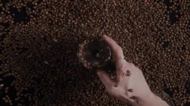 Yakın plan elektrikli öğütücü ve kahve tanecikleri bilinmeyen barista el manzaralı. Dağınık tohumlar üzerinde ağır çekimde öğütülen kokulu fasulyeler. İşlem hazırlama tozu.