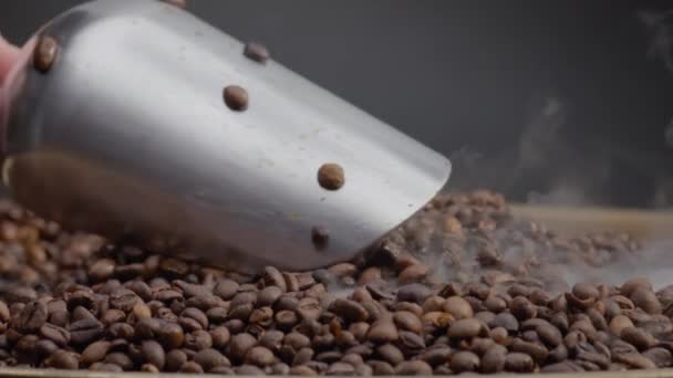 金属シャベルを使用してローストコーヒー穀物をスクープ男の手を閉じます ロースターの熱い芳香の種に光蒸気が来る コーヒー豆をエネルギー飲料用に粉砕する準備をしている未知の農業者 — ストック動画