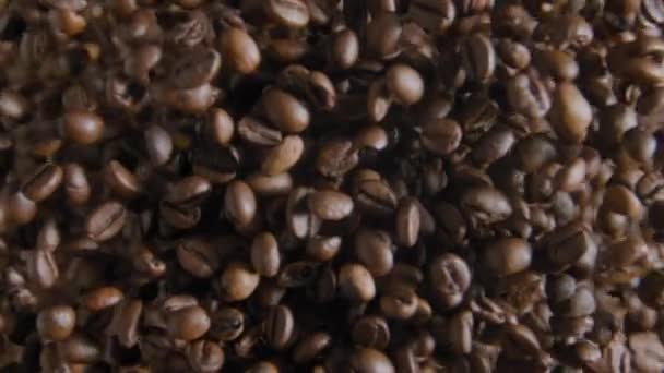 コーヒー粒を粉砕するプロセスを閉じます 電気グラインダーで回転する新鮮な芳香のある豆を表示します 現代的なキッチン機器を使用して精力的な朝の飲料のためのおいしいアラビカ粉末の準備 — ストック動画