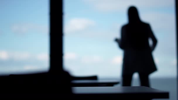 Businesswoman Silhouette Dance Office Window Happy Friday Employee Mood Unknown — Stock Video