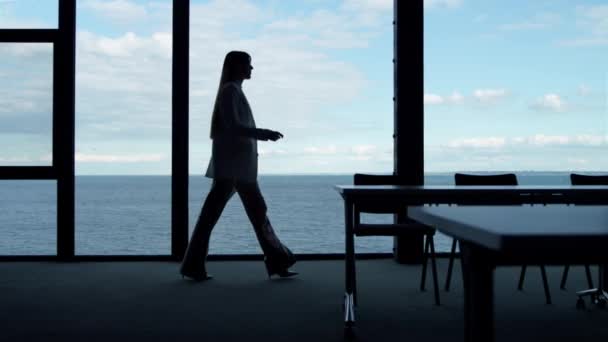 Businesswoman Silhouette Pied Fenêtre Dans Salle Conférence Bureau Vue Sur — Video