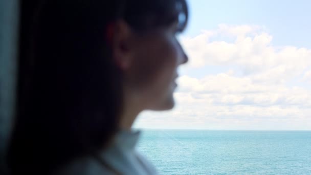 Ceo Kobieta Sylwetka Uśmiechnięty Panoramiczny Widok Morze Okno Bogata Bizneswoman — Wideo stockowe