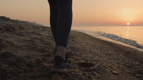 Closeup of slim woman feet walking sandy beach at sunset back view. Unrecognizable girl stepping on wet seacoast near ocean waves. Unknown lady legs wearing sporty sneakers black leggings outdoors.