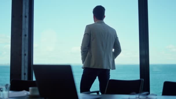 Serious Businessman Watching Sea Window Back View Confident Leader Person — Vídeos de Stock