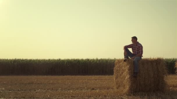 Farmer Resting Hay Stack Autumn Evening Focused Worker Inspecting Harvest — Vídeo de stock