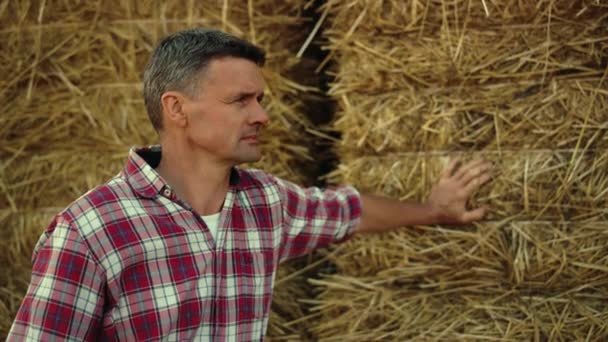Farmer Lean Hay Stack Farmland Closeup Pensive Man Inspecting Wheat — Vídeos de Stock