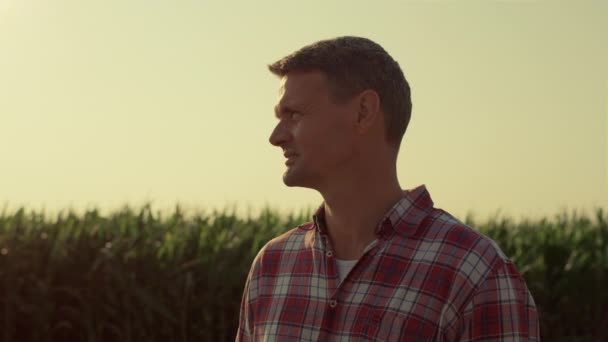 Agronomist Inspecting Harvesting Field Sunlight Closeup Farmer Watch Organic Corn — Video Stock