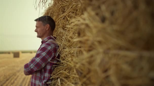 Ember Pihenőhelye Szénakazal Mezőgazdaságban Őszi Betakarítási Idényben Mezőgazdasági Termelő Száraz — Stock videók