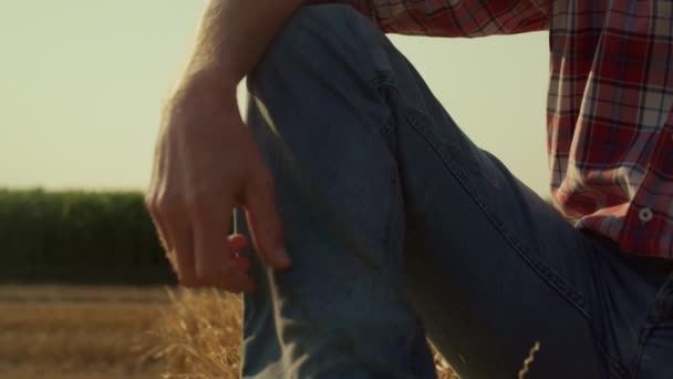 Man Leg Straw Bale Sunlight Closeup Field Worker Resting Hay — Αρχείο Βίντεο