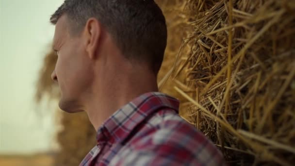 Farmer Observing Harvesting Field Closeup Thoughtful Man Leaning Hay Stack — Vídeos de Stock