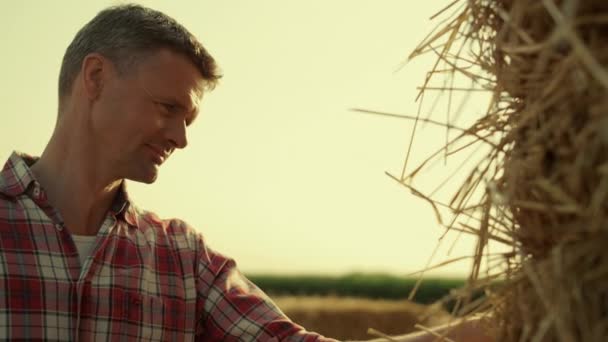 Agronomist Examining Hay Bale Sunlight Closeup Focused Farmer Inspecting Dry — Stock video