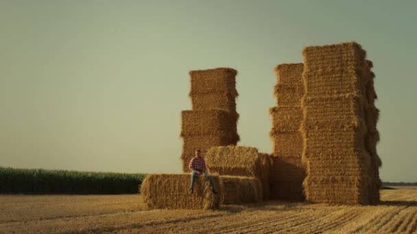Farmer Resting Hay Stack Sunset Sunlight Farmland Owner Inspecting Stubble — Stockvideo