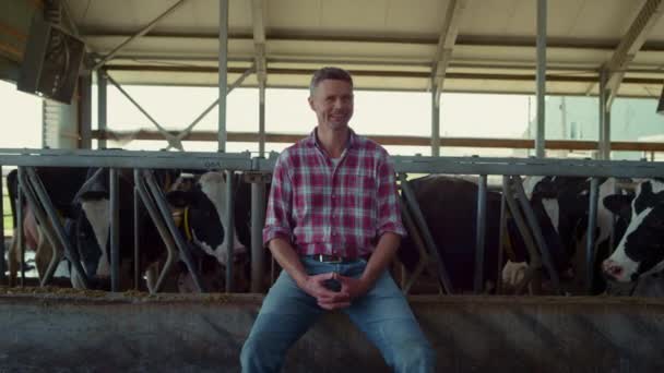 Happy Farmer Posing Sitting Cowshed Feeder Healthy Cows Charming Professional — Vídeo de Stock