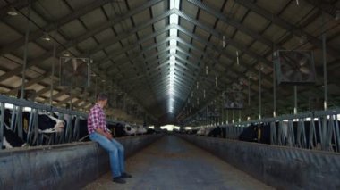 Farm worker resting barn after hardworking day on countryside cowshed. Professional agricultural specialist sitting on cows feeder relaxing. Tired farmer watching ranch work process. Farmland concept.