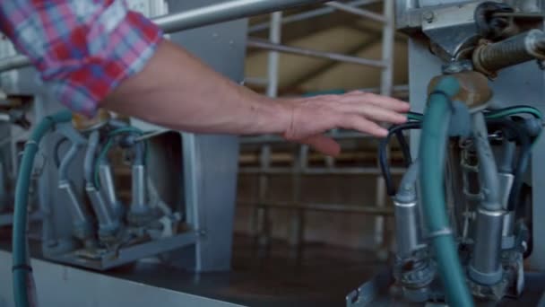 Unknown Farm Specialist Checking Cow Milking System Modern Barn Closeup — 图库视频影像