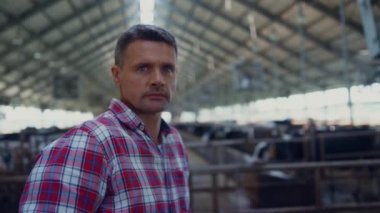 Rancher standing in modern cowshed looking camera close up. Portrait of serious farm employee in front cattle herd stall. Agribusiness owner posing in large livestock ranch building. Husbandry concept