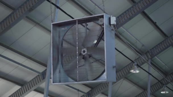Large Industrial Fan Controlling Temperature Modern Cowshed Close Ventilation System — Stock Video