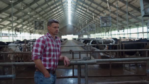 Serious Professional Farmer Standing Cows Stall Leaning Fence Cowshed Worker — Vídeos de Stock