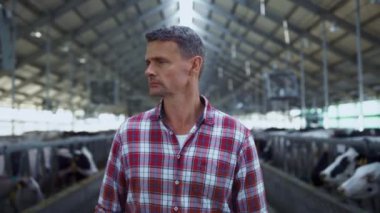 İnekler arasında yürüyen ve tarımsal üretimi yakından inceleyen uzman çiftlik hayvanları. Profesyonel çiftçi kırsal alanda sığır sağlığını kontrol ediyor. Tarım sektörü kavramı.