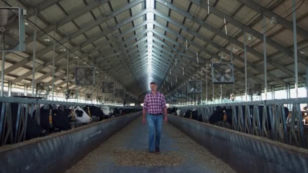 Farm Owner Walking Barn Checking Milk Production Stage Modern Cowshed — Αρχείο Βίντεο