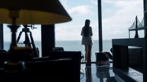 Employee Silhouette Watching Tranquil Sea View Office Unrecognized Rich Worker — Wideo stockowe