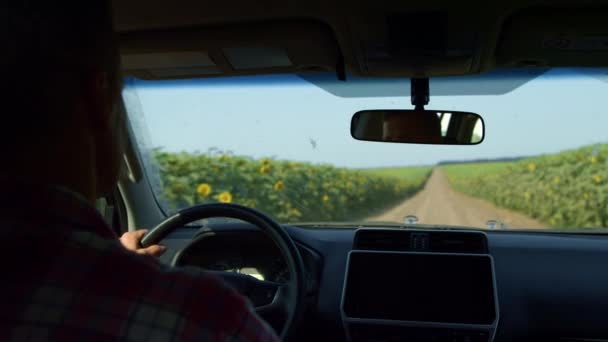 Farmer Driving Countryside Road Rear View Closeup Driver Inspecting Sunflower — Vídeo de Stock