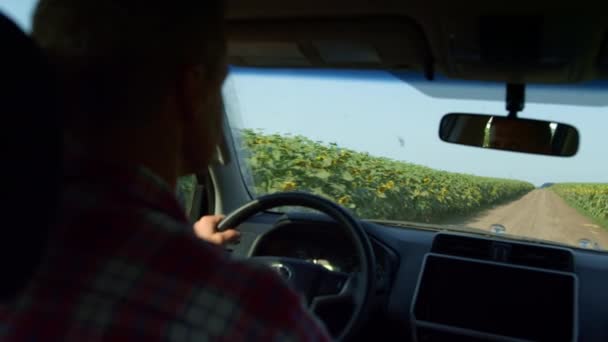 Driver Control Car Field Sunny Day Farmer Inspecting Sunflower Plantation — Video