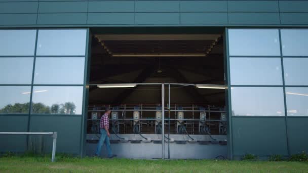 Farmer Walking Milking Equipment Parlor Dairy Production Worker Inspecting Factory — Stock Video