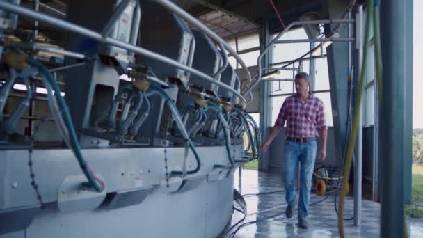 Livestock Worker Inspecting Milking Carousel Countryside Farmer Check Parlor Equipment — Wideo stockowe