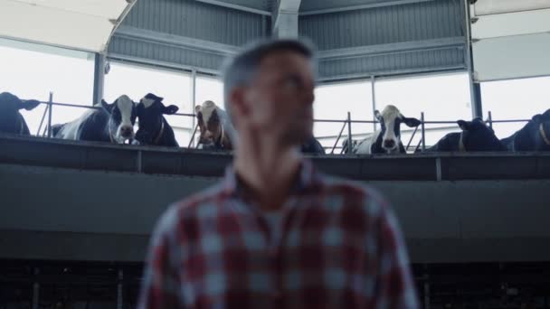 Portrait Farmer Standing Milking Parlour Watching Automated System Getting Milk — Stock videók