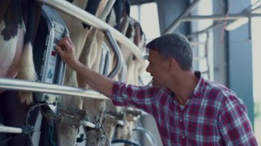 Farmer checking milking technological system in dairy manufacture close up. Man ranch worker analyzing milk production device inspecting sensors data in mechanical cowshed. Smart husbandry concept.