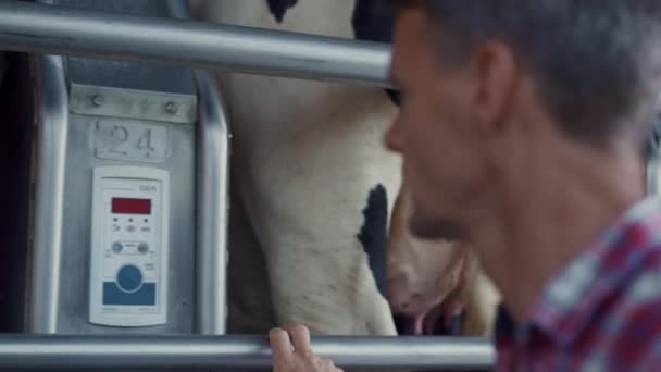 Farm Worker Milking System Check Process Automatic Technological Ranch Focused — Vídeo de stock