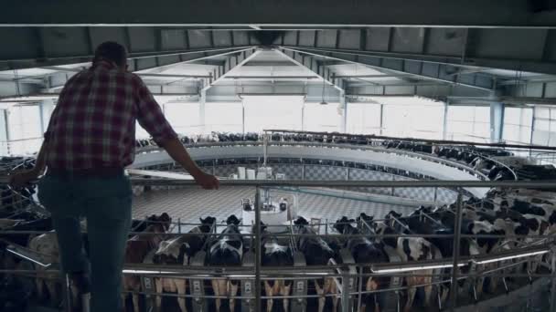 Back View Farmer Checking Milking System Automated Modern Farm Watching — Vídeos de Stock