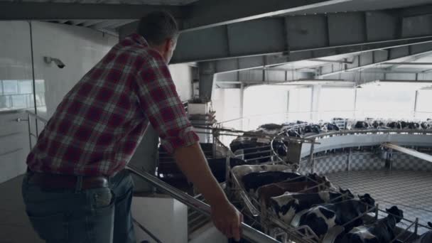 Farm Worker Controlling Milking Facility Work Automated Carousel System Professional — Video Stock