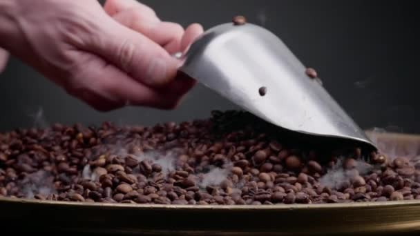 Homem Mão Segurando Concha Escavar Sementes Café Torradeira Perto Fumaça — Vídeo de Stock