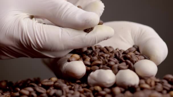 品質のコーヒー粒をチェック手袋で手を閉じます 芳香のある茶色の種子は未知の人の手のひらに横たわっています 挽く前に新鮮なローストビーンズを保持する農業者 エネルギードリンクの原料 — ストック動画