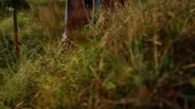 Closeup tourist shoes going mountains on hiking trail outdoors. Active man legs trekking autumn nature golden grass. Unknown traveler using ski poles on journey activity. Tourism vacation concept.