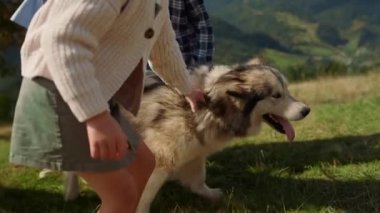 Happy family walking pedigree dog using leash on green hill sunny day. Closeup active fluffy pet posing camera outdoors. Unrecognizable children with parents enjoying summer vacation in mountain.