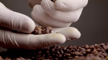 Hands picking coffee grains closeup. Unrecognizable person in gloves holding roasted aromatic seeds in super slow motion. Fingers taking brown beans. Agriculturist checking coffee harvest quality. 