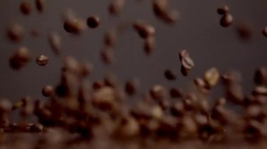 Closeup roasted coffee beans pouring table bouncing super slow motion. Brown aromatic seeds for morning drink falling down. Gourmet caffeine grains view for energetic beverage. Quality coffee harvest.